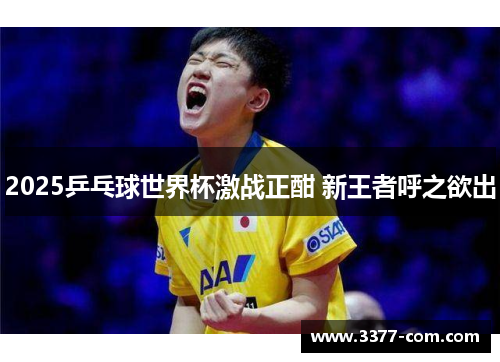 2025乒乓球世界杯激战正酣 新王者呼之欲出