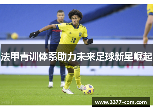 法甲青训体系助力未来足球新星崛起